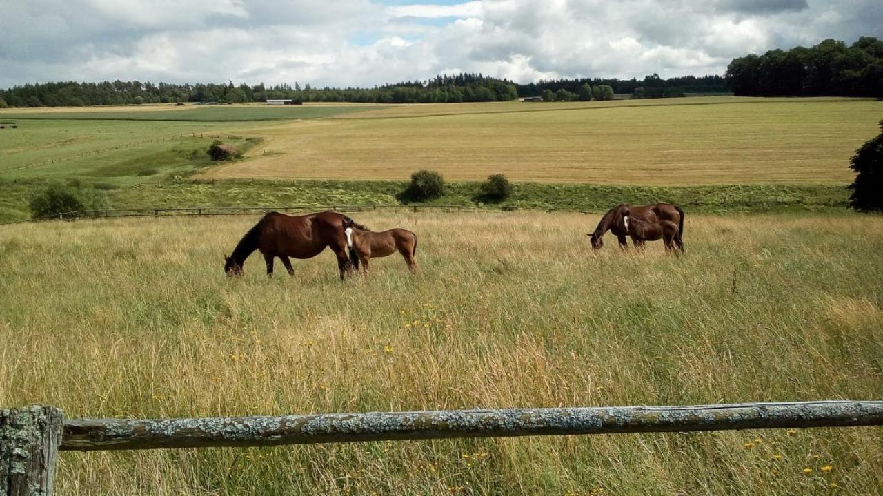 Schoene Aussicht Vöhl Exterior foto